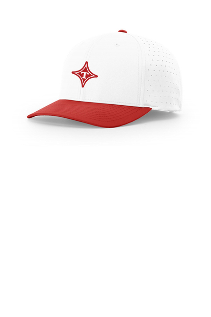 Thomasville High School Bulldogs Softball Perforated Hat w Silicone Patch